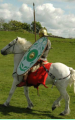 Roman cavalryman